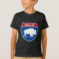 Angola New York Buffalo Ny Highway Interstate Sign