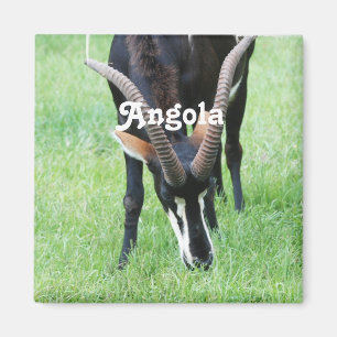 Angola Sable Antelope Magnet