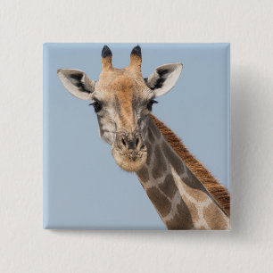 Angolan Giraffe Portrait 15 Cm Square Badge