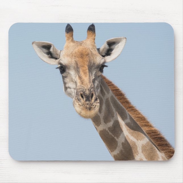 Angolan Giraffe Portrait Mouse Mat (Front)
