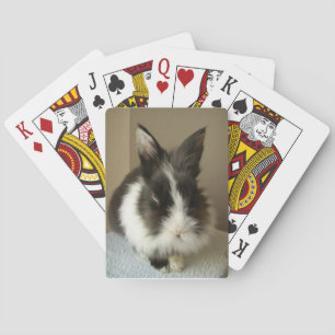 Angora Black White Rabbit Playing Cards
