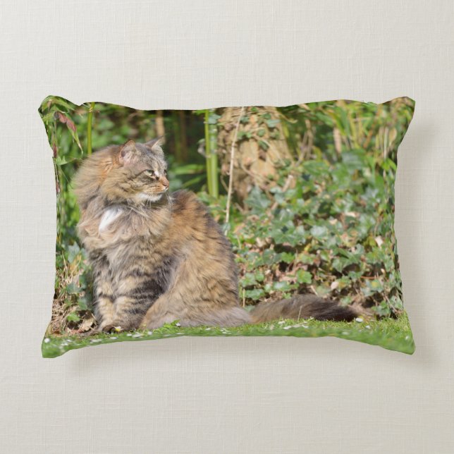 Angora cat decorative cushion (Front)