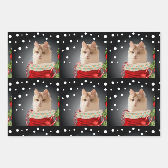 Angora Cat Holiday  Wrapping Paper Sheet (Front 3)