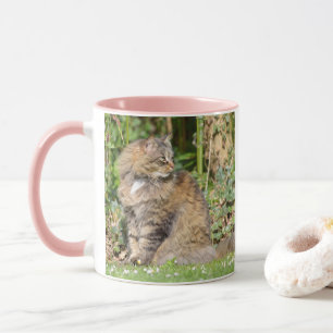 Angora cat mug