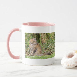 Angora cat mug