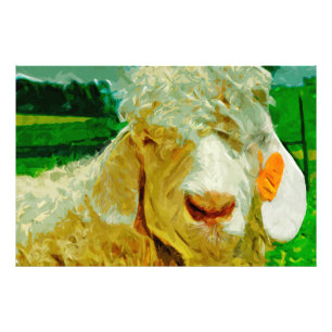 Angora Goat With Ear Tag Abstract Impressionism Photo Print