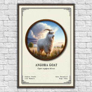 Angora Goat Zoology Series Poster
