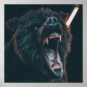Angry Bear Teeth Black Bear Growl Poster