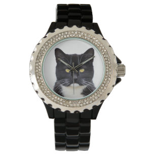 Angry Black And White Cat Watch