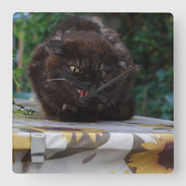 Angry Black Cat Square Wall Clock (Front)