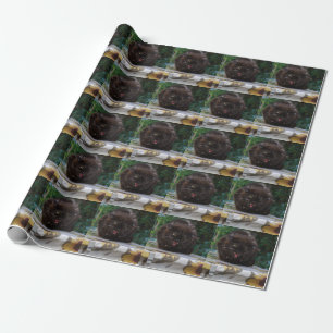 Angry Black Cat Wrapping Paper