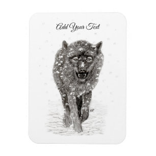 Angry Black Wolf in the Snow , wild Winter Magnet