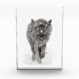 Angry Black Wolf in the Snow , wild Winter Photo Block