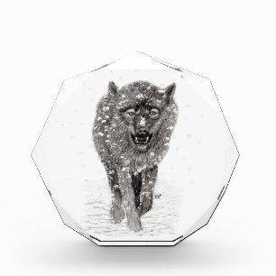 Angry Black Wolf in the Snow , wild Winter Photo Block