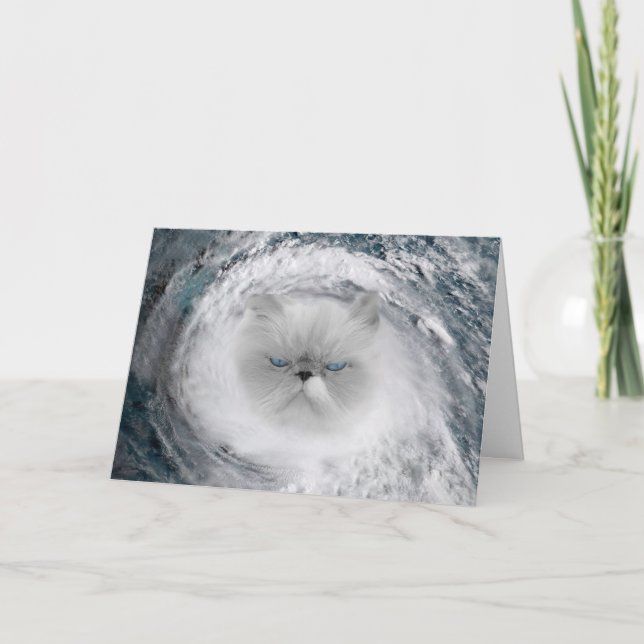 Angry Cat 5 Hurricane Card (Front)