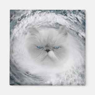 Angry Cat 5 Hurricane Magnet