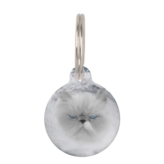Angry Cat 5 Hurricane Pet Tag (Front)