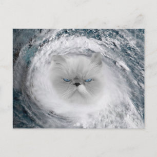 Angry Cat 5 Hurricane Postcard