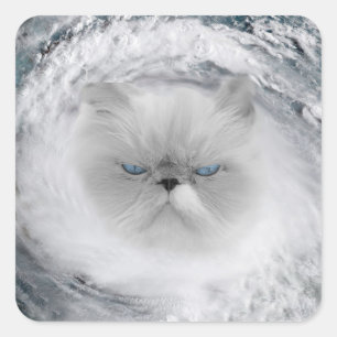 Angry Cat 5 Hurricane Square Sticker