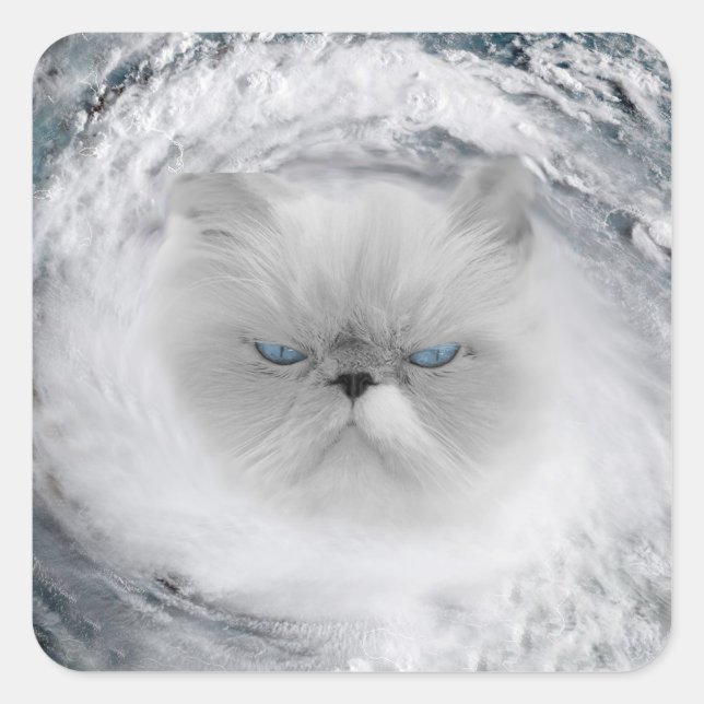 Angry Cat 5 Hurricane Square Sticker (Front)