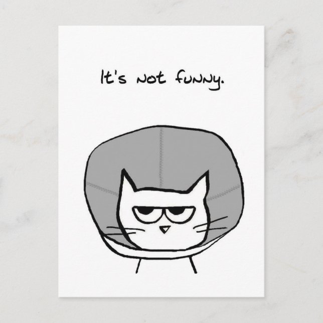 Angry Cat and the Cone of Shame Postcard (Front)