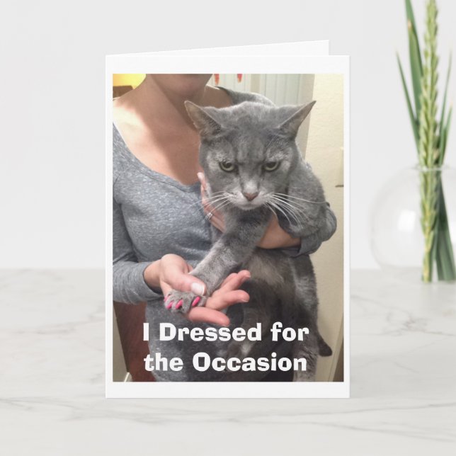 Angry Cat Birthday Card (Front)