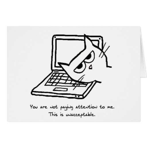 Image of Angry Cat Demands Attention - Funny Cat Card