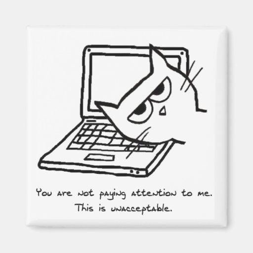 Image of Angry Cat Demands Attention - Funny Cat Magnet