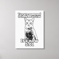 Angry cat meme for cat owners and kitten lovers