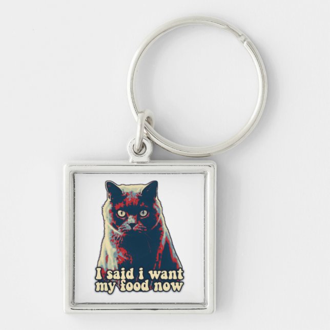 Angry cat meme for cat persons and cat owners key ring (Front)