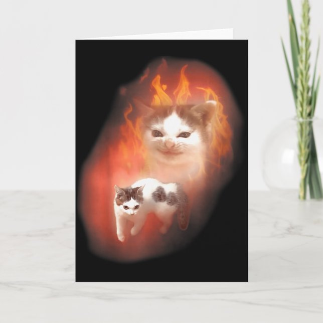 Angry Cat Meme Funny Silly Cat Kitten Lover Humor  Card (Front)