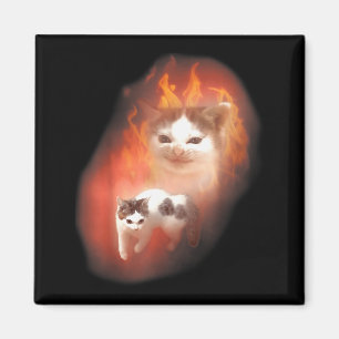Angry Cat Meme Funny Silly Cat Kitten Lover Humour Magnet