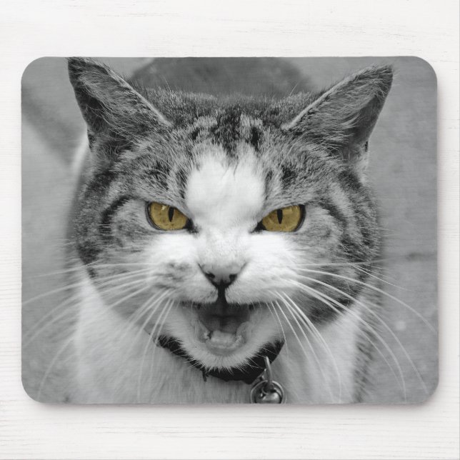 Angry Cat Mouse Mat (Front)