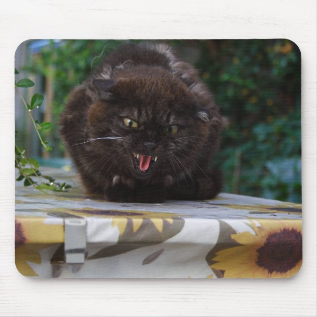 Angry Cat Mouse Mat (Front)