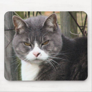 angry cat mousepads