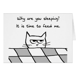 Angry Cat Wants You Out of Bed