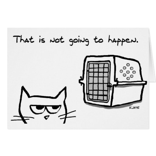 Image of Angry Cat will NOT be going to the Vet - Funny Car