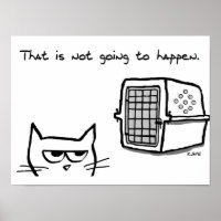 Angry Cat will NOT be going to the Vet