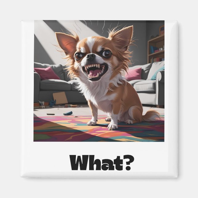Angry chihuahua magnet (Front)