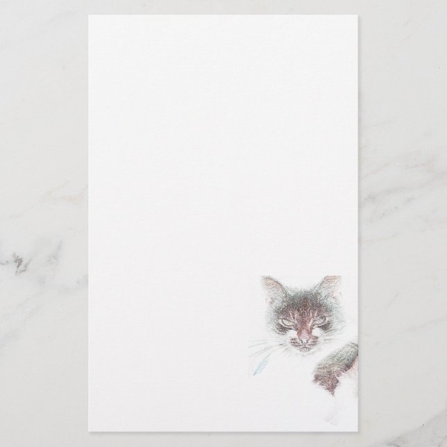 Angry Cute Cate Face Sketch Stationery (Front)