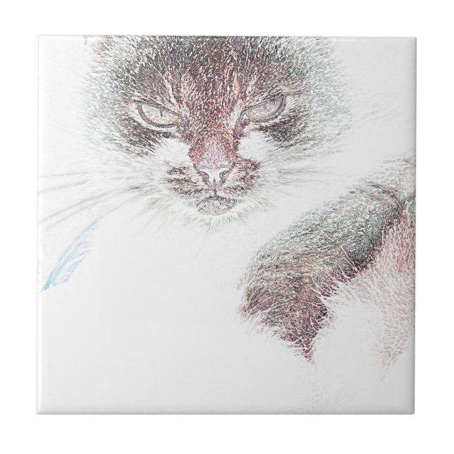 Angry Cute Cate Face Sketch Tile (Front)