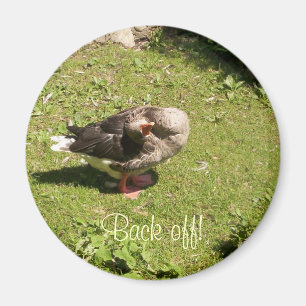 Angry Goose Back Off Magnet