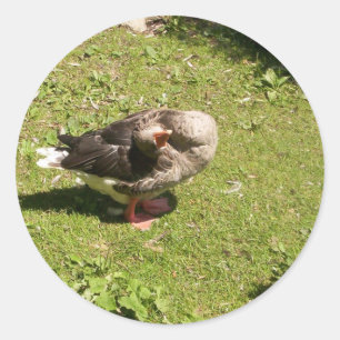 Angry Goose Stickers