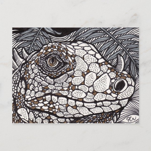 Angry Iguana Postcard (Front)
