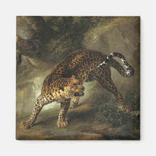 Angry Leopard (by Jean-Baptiste Oudry) Magnet