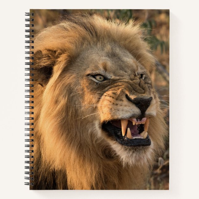 Angry Lion Personalise Name  Notebook (Front)