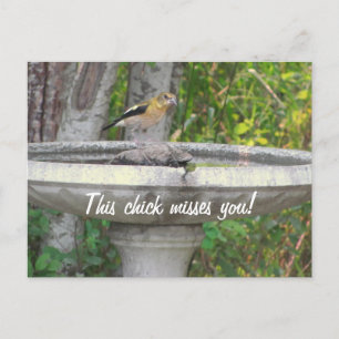 Angry Looking Bird with your phrase Postcard