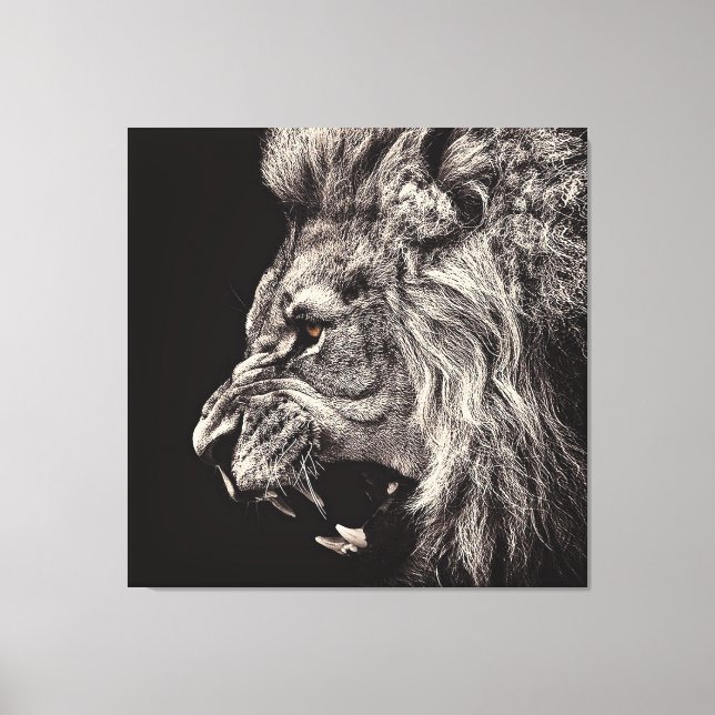 Angry Male Lion Canvas Print (Front)