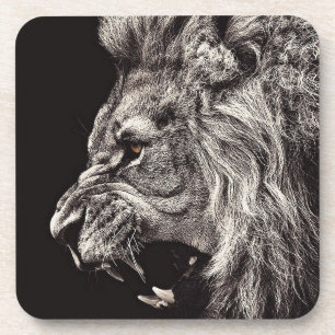Angry Male Lion Coaster