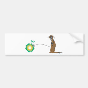 Angry Otter Bumper Sticker